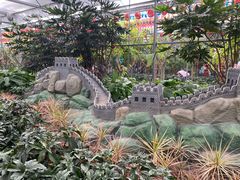 -南宫五洲植物乐园