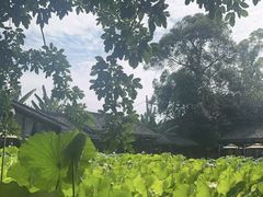 -莫催咖啡