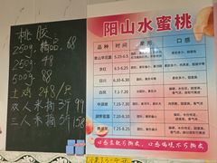 -老袁家蜜桃农场·阳山水蜜桃