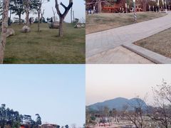 -白石龙音乐公园