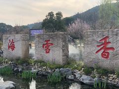 -香雪海
