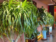 -隐炉和牛烧肉店(群力店)