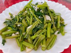 -柘林湖生态鱼馆