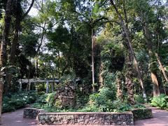 -广西壮族自治区药用植物园
