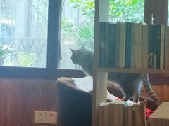 -隅cafe(傅厚岗店)