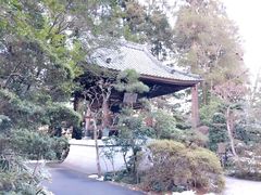 -瑞凤殿