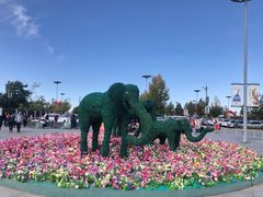 -鄂尔多斯野生动物园