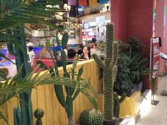 -彼德西餐厅(凯德广场新南店)