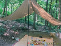 -铁山坪森林公园