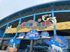-泉城欧乐堡海洋极地世界