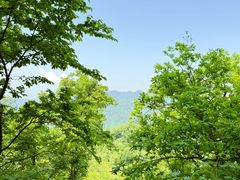 -天女山森林公园