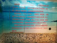 -上海大自然野生昆虫馆(东方明珠·爬宠昆虫探索中心)