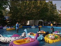 -朝阳公园游乐园