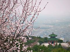 -北京西山国家森林公园