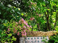 -国家植物园南园