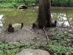 -人民公园(罗湖区)