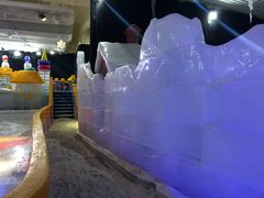 -客天下梦幻冰雪乐园