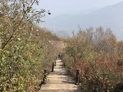 -白草畔自然风景区