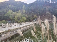 -黔灵山公园