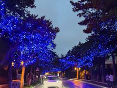 -北戴河东海水浴场