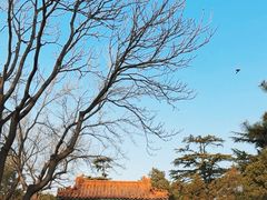 -北京市劳动人民文化宫(太庙)