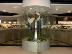 -下渚湖国家湿地公园科普馆