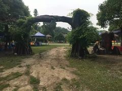 -梁鸿国家湿地公园