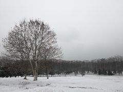 景点-钟山体育运动公园