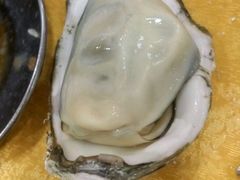-蚝专家(北滘店)