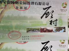 -顾村公园