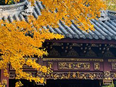 -汇龙潭