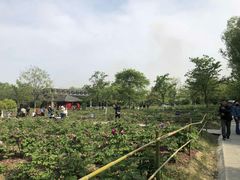 -合肥三国新城遗址公园