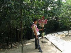 -火炉山森林公园