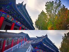-金城公园