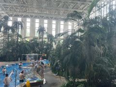 -中家鑫园温泉酒店鑫悦汤泉