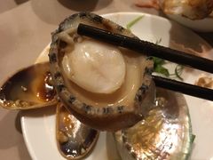 鲍鱼-八樂居