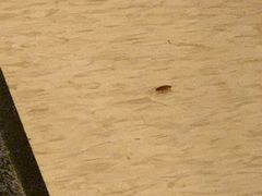 -锦江之星(广州海珠江泰路地铁站店)