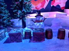 -世界之窗阿尔卑斯冰雪世界