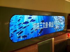 -争鲜回转寿司(太阳宫凯德PLUS店)