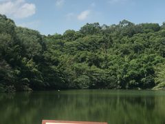 -李小龙乐园(顺德均安店)