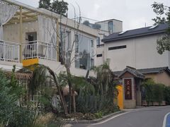 -三圣花乡旅游区