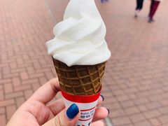 -富豪雪糕车流动点(尖沙咀店)