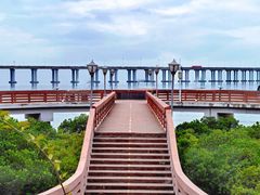 -宝安西湾红树林湿地公园