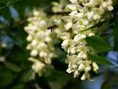 -龙口南山旅游景区