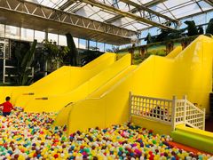 -南宫五洲植物乐园