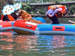 -安吉龙王山峡谷漂流