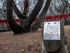 -北陵公园