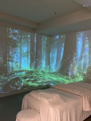 -海菲秀·飞顿牛奶光·LDM官方授权中心美轮美浣瓷感美肌