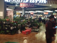 -哈尔信食品超市(哈尔滨王府井购物中心店)