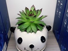 -宝岛眼镜(嘉兴桐乡时代广场店)